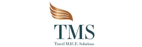 Travel Mice Solutions